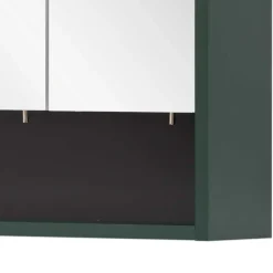 Outlet Wohnen Bad Spiegelschrank in Dunkelgrün - Aqua