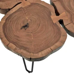 Outlet Wohnen Beistelltisch aus Baumscheiben Akazie - Linuselia