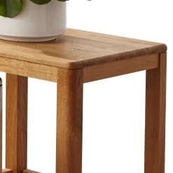 Outlet Wohnen Beistelltisch Set aus Wildeiche Massivholz - Uvinessa (zweiteilig)