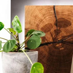 Best Wohnen Design Wandregal mit Beleuchtung - Drinidad