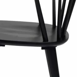 Best Wohnen Designerstuhl aus Massivholz - Biontica (2er Set)