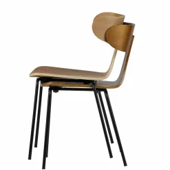 Online Wohnen Designerstuhl Set Anoria stapelbar (2er Set)
