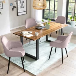 New Wohnen Esstisch und Stuhl Kombi modern - Icy (fünfteilig)