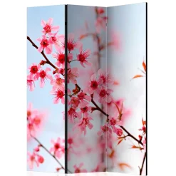 Clearance Wohnen Foto Trennwand Kirschblüte in Rosa & Blau - Filler