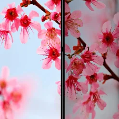 Clearance Wohnen Foto Trennwand Kirschblüte in Rosa & Blau - Filler