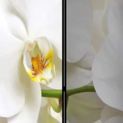 Sale Wohnen Fotoprint Leinwand Paravent Weiße Orchideen - Aury