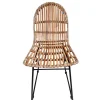 Hot Wohnen Geflechtstuhl aus Rattan - Larcella (2er Set)