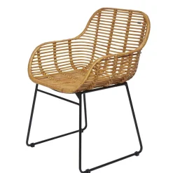 Best Wohnen Moderner Flechtstuhl aus Rattan - Rubertus (2er Set)