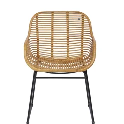 Best Wohnen Moderner Flechtstuhl aus Rattan - Rubertus (2er Set)