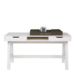 Discount Wohnen PC Tisch Luciane in Weiß