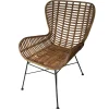 Best Wohnen Rattan Esszimmerstuhl Abazi mit Armlehnen