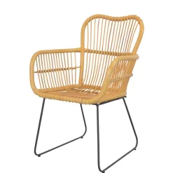 Clearance Wohnen Rattan Sessel mit Eisen Bügelgestell - Finaly