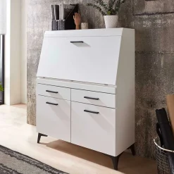 New Wohnen Schreibschrank mit Klappe & zwei Türen - Quakes
