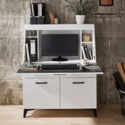New Wohnen Schreibschrank mit Klappe & zwei Türen - Quakes