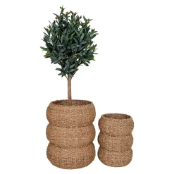 Discount Wohnen Seegras Körbe im Landhausstil - Lottessa (zweiteilig)