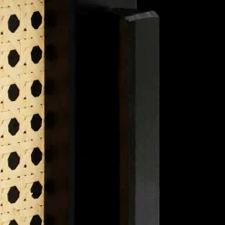 Outlet Wohnen TV Lowboard in Dunkelbraun mit Wiener Geflecht - Santiana