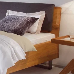 Wohnen Wildholz Bett Housten mit Bügelgestell aus Metall