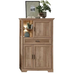 Hot Wohnen Wohnzimmerschrank in Eiche Optik mit LED - Barack