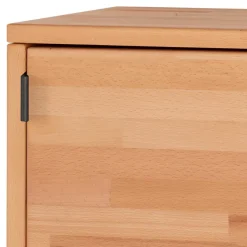 Hot Wohnen Würfel Regal mit Tür aus Kernbuche massiv - Gabela