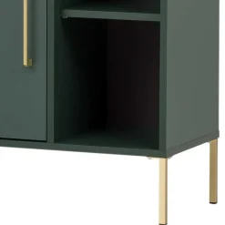 New Wohnen 67x184x33 Bad Hochschrank in Dunkelgrün & Gold - Aqua